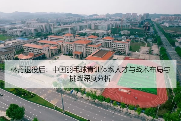林丹退役后：中国羽毛球青训体系人才与战术布局与挑战深度分析